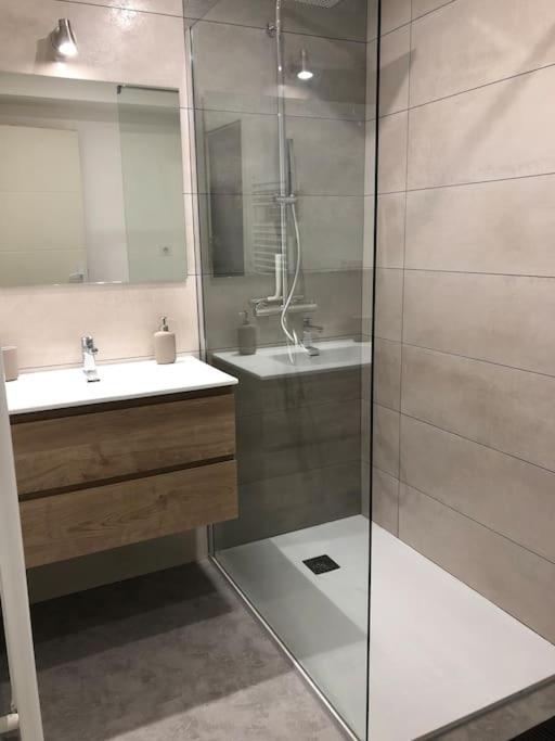 Appartement Moderne & Lumineux 40M2 Centre Luxeuil Zewnętrze zdjęcie
